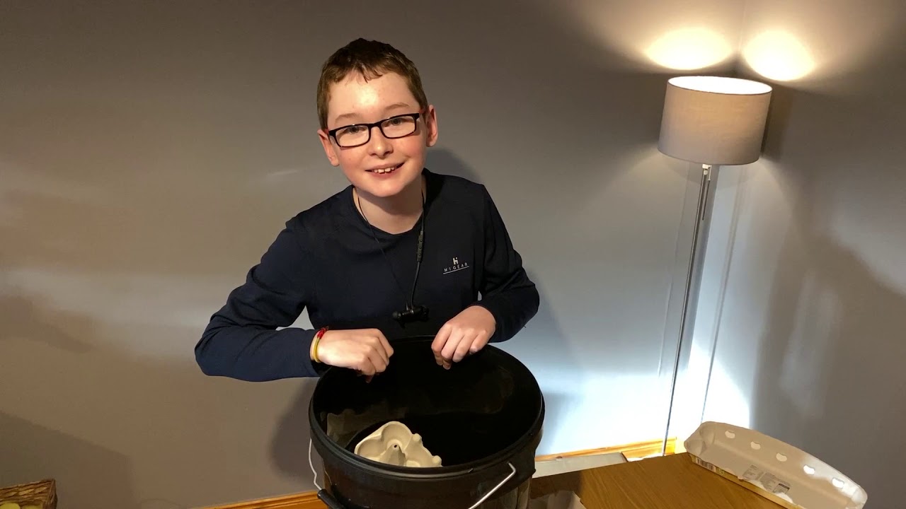 Xander's budget moth trap Jan 2020