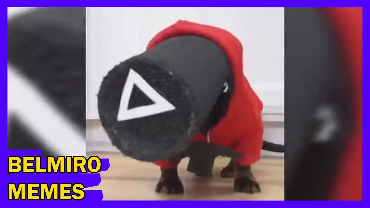 Belmiro Memes: Melhores dublagens engra&ccedil;adas da semana 66