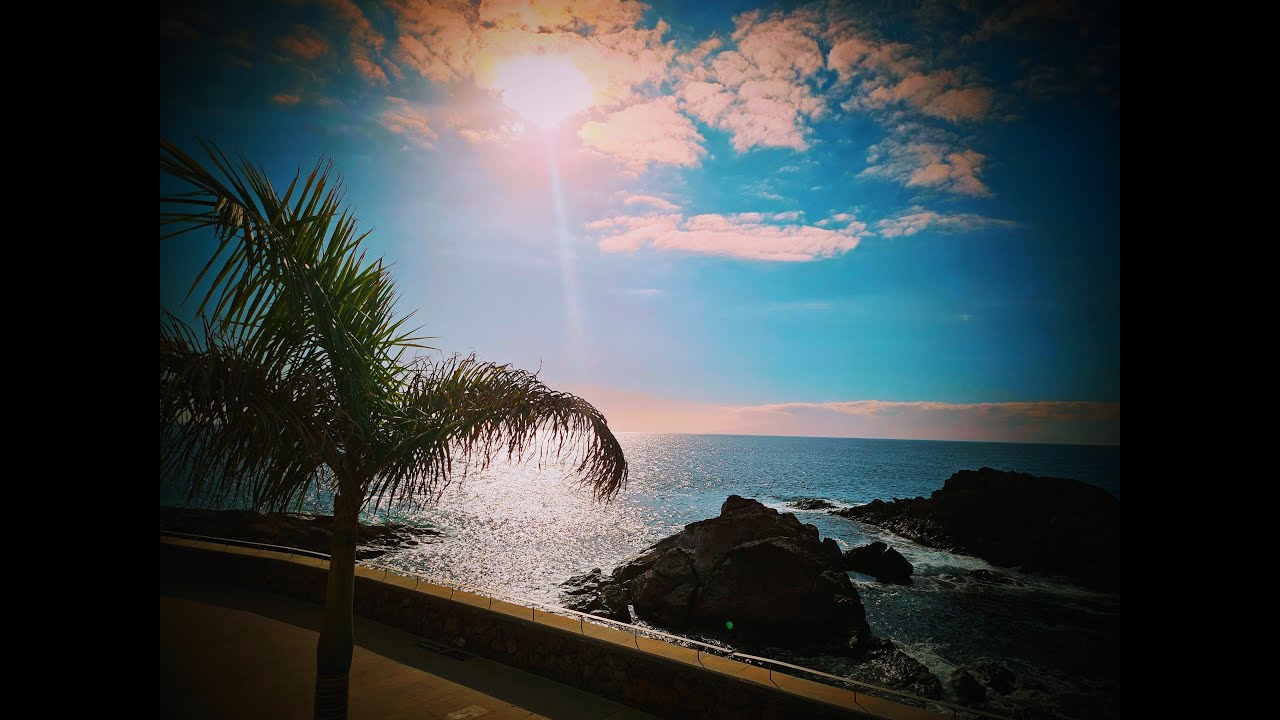 Riu Buenavista (extended) 2023