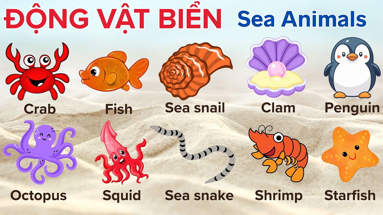 Các Loài Động Vật Biển | Sea Animals | Bé khám phá các loài động vật biển | Cua, bạch tuộc, rắn biển
