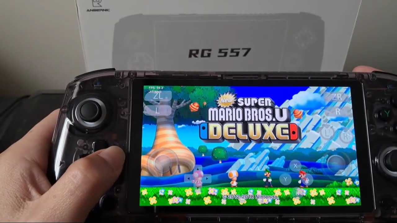 Review main game Nintendo Switch di Abernic RG557 & RG556