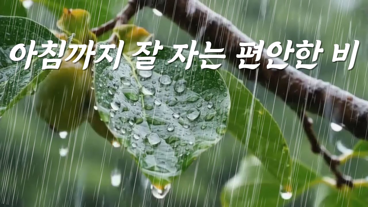 아침까지 잘 자는 편안한 빗소리, [중간광고없음]10분후 검은 화면, 불면의 밤을 녹이는 깊은 숙면 힐링 사운드, ASMR