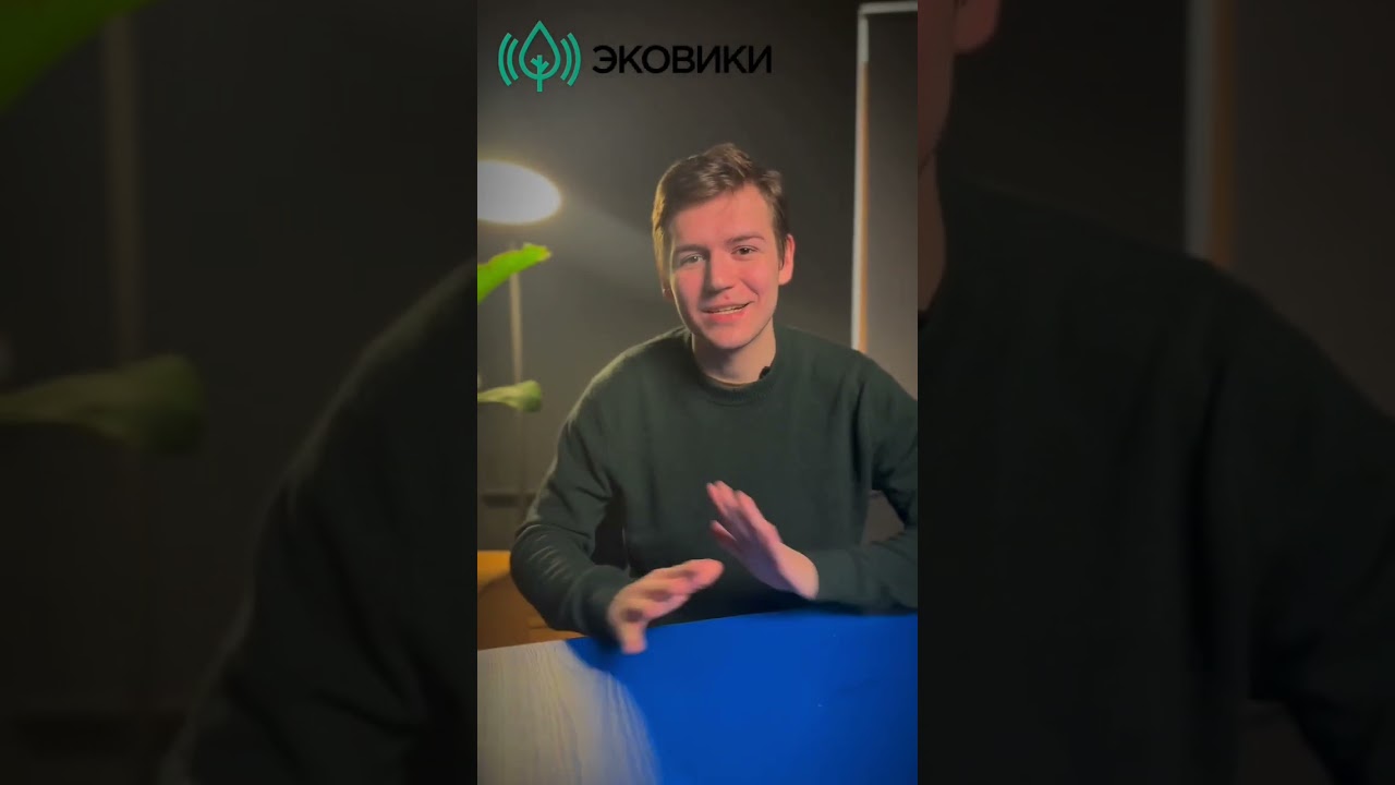 Все о защите леса тут:  