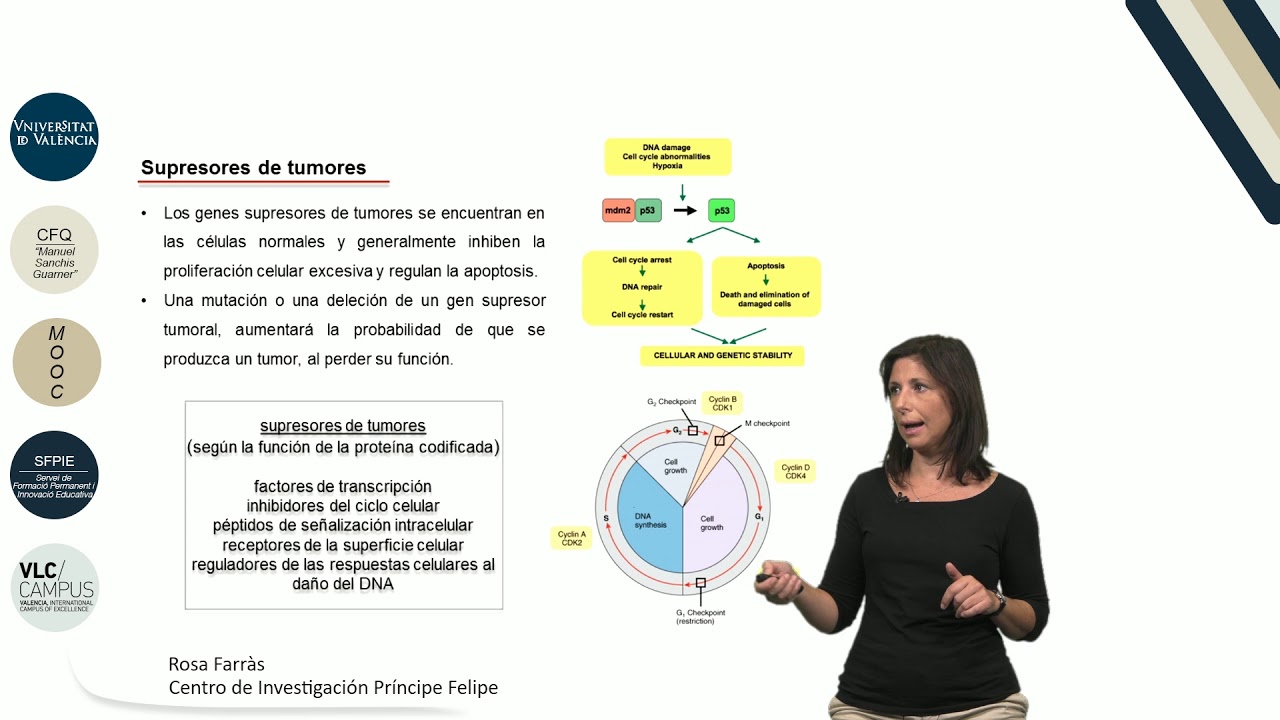 5.4. Biología molecular del cancer
