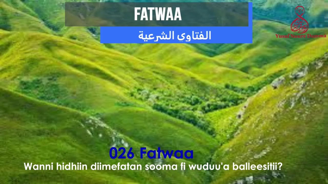 026 Gaafi fi deebii Amantii islaamaa, Fatwaa, Wanni afaaniin diimeffatan sooma namarraa caphsaa?