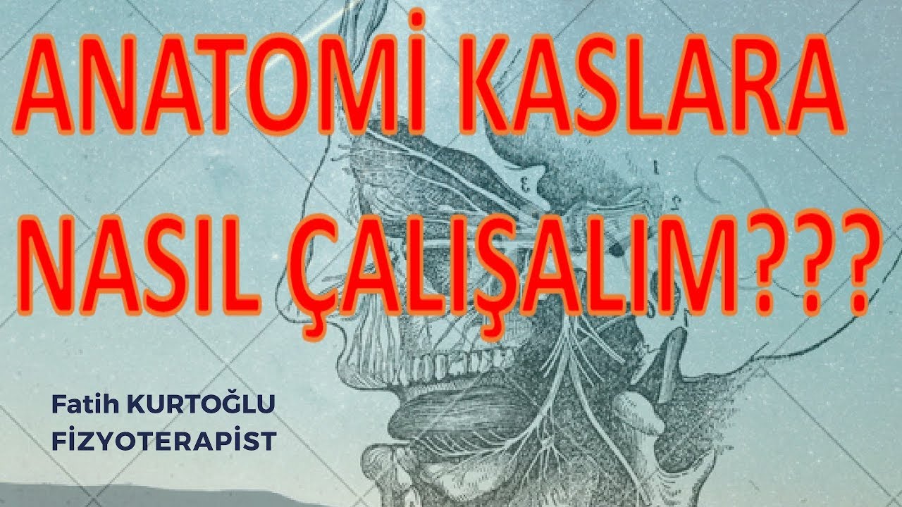Anatomi de Kaslar ı Asla Unutmayacaksınız!!!  | Denenmiş Başarılı Y&ouml;ntem |