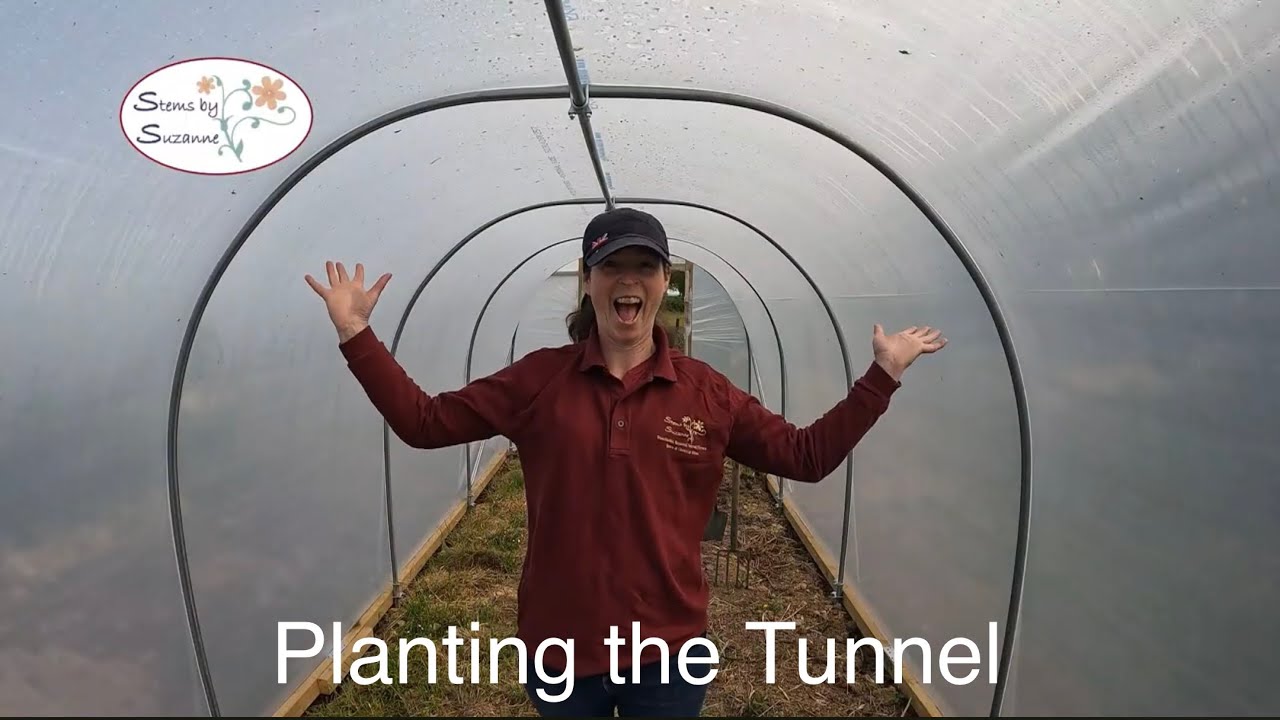 Let’s plant the Polly Tunnel and check out the Dahlia cuttings// Stems by Suzanne Cut Flower Garden🌸