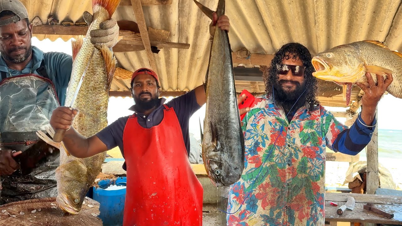 Amazing! Super Seaside Market Fish Cutting Show by Legendary Masters