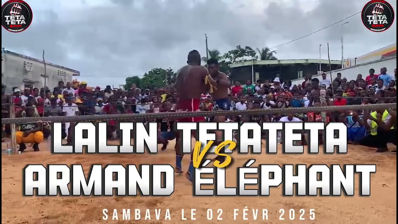 LALIN TETATETA 🆚 ARMAND ÉLÉPHANT