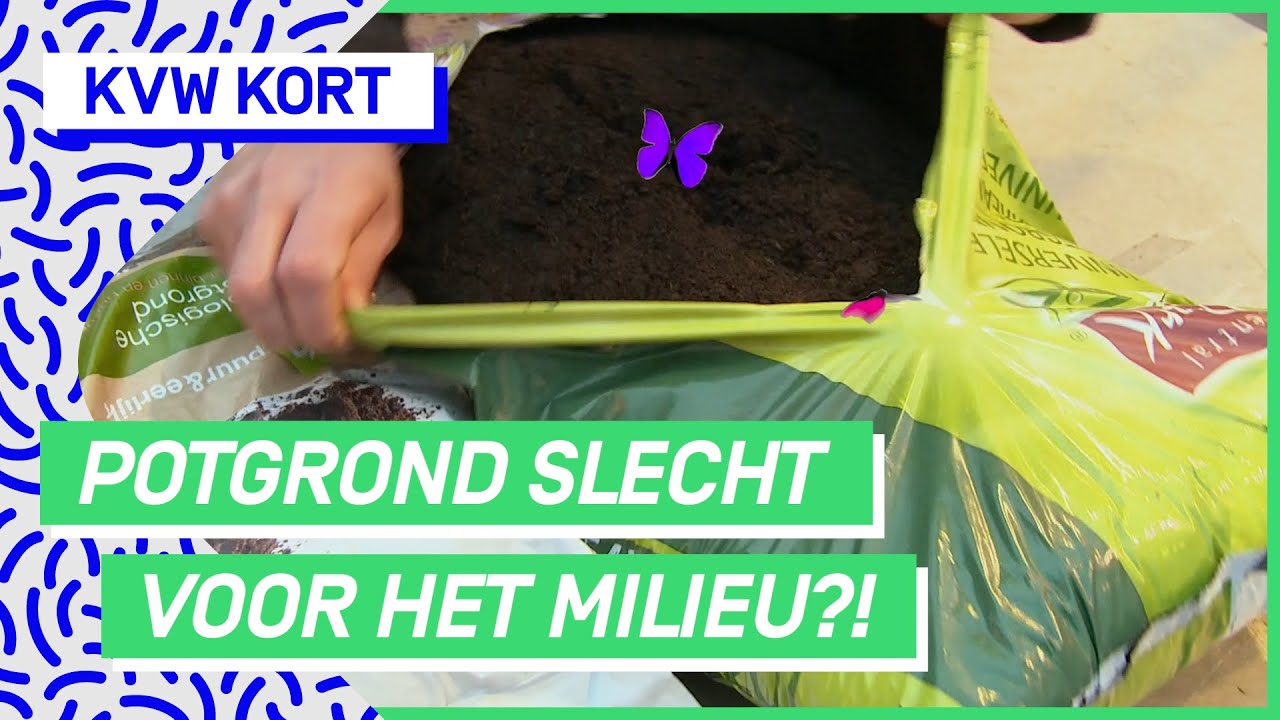 Waarom jouw kamerplant slecht is voor de aarde! | KVW KORT #38 | NPO 3