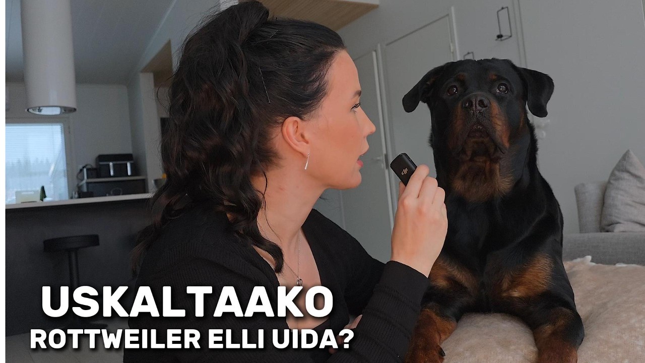 ENSIMMÄISTÄ KERTAA KOIRAUIMALASSA!