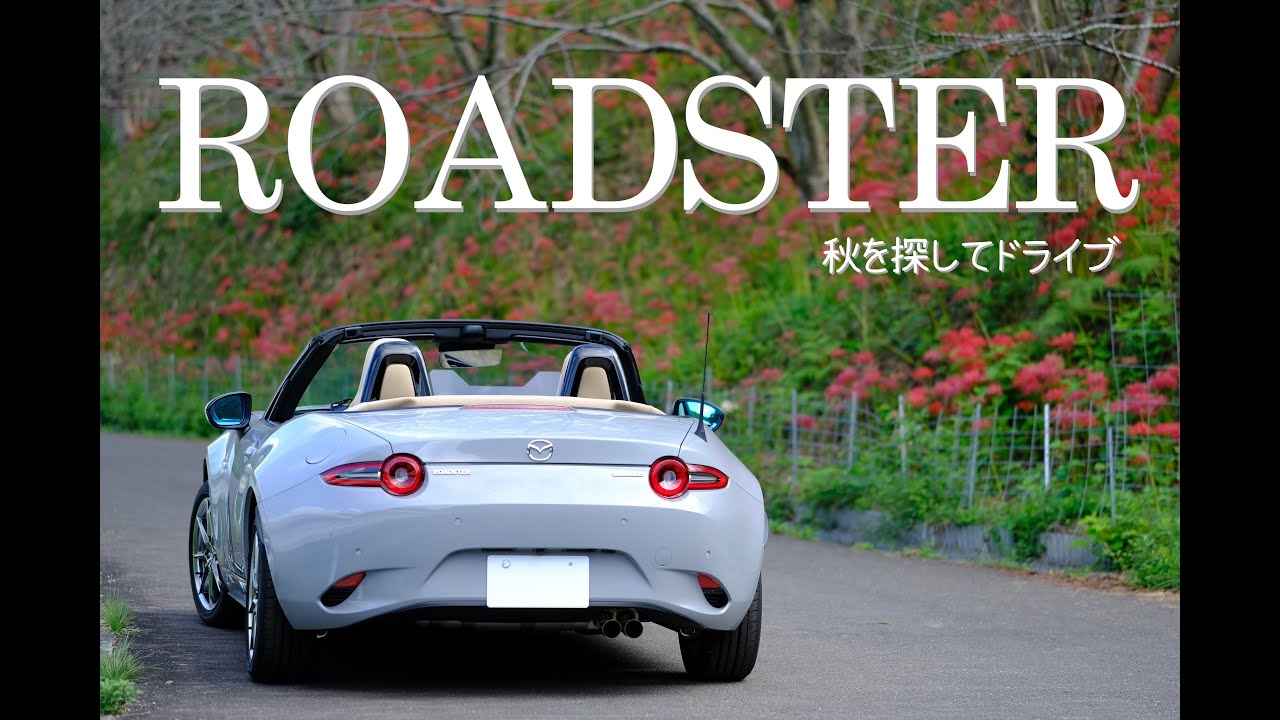 NDロードスター 秋の紅の花を探してドライブ!!