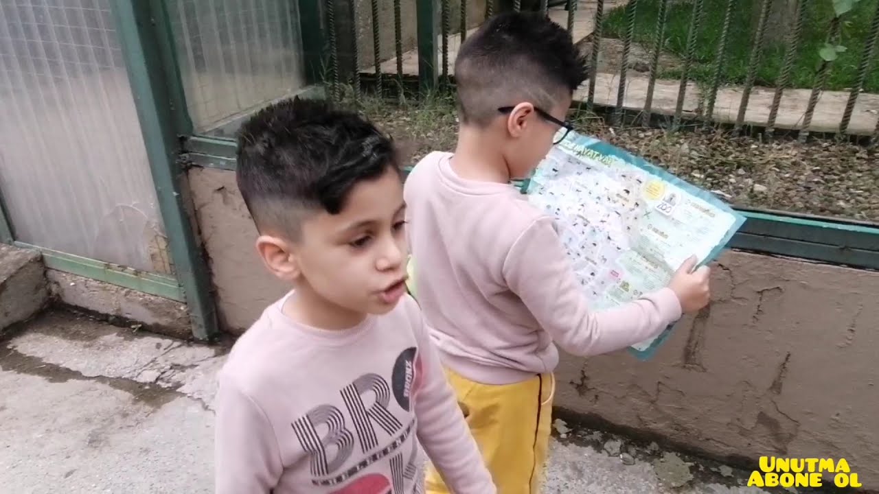 Darıca hayvanat bah&ccedil;esi (gebze kocaeli) (aslan kuşlar kaplan yılan z&uuml;rafa devekuşu maymunlar penguen