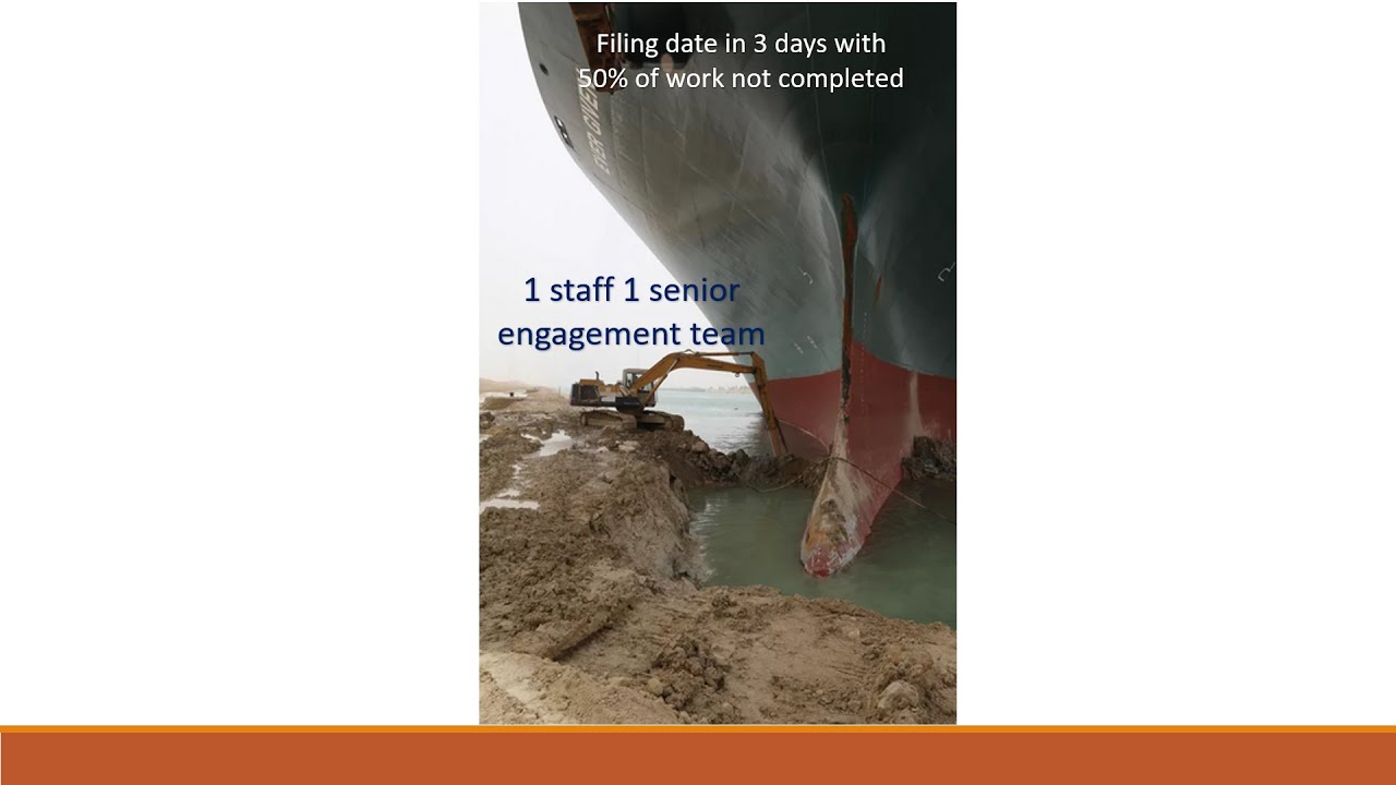 Big 4 Audit: Too Many EGAs (Workpapers)