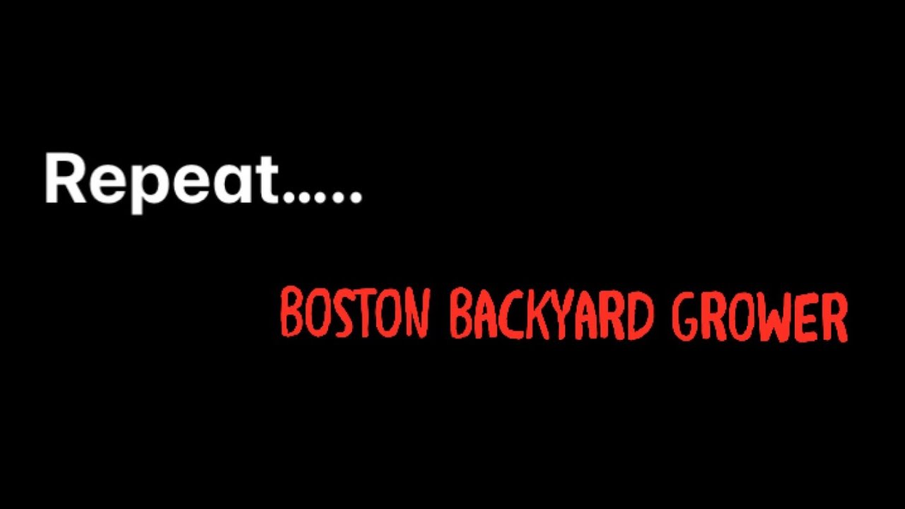 Plant: Grow: Harvest: Smoke: Repeat: Boston Grower | Backyard Grow Channel