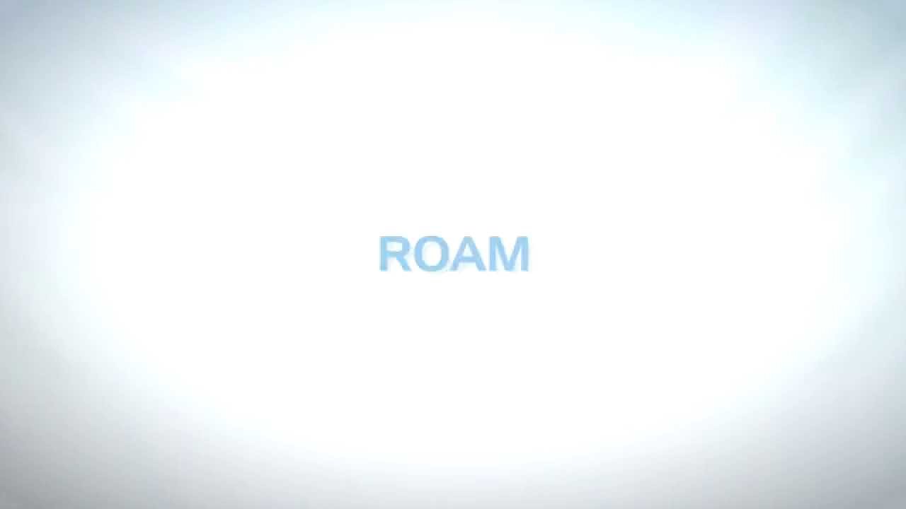 MiP Tutorial 06- Roam