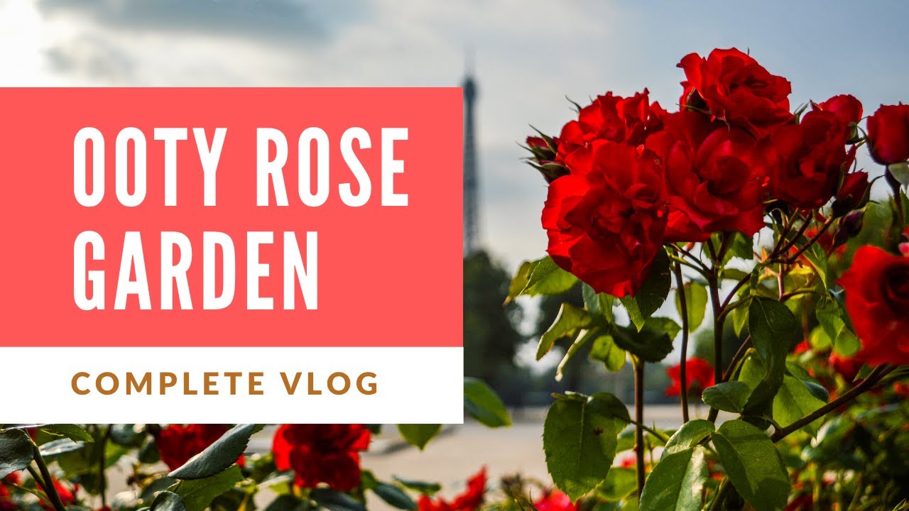 Rose Garden Ooty