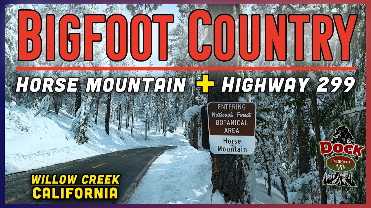 Heavy Snow on Highway 299 ❄️ | Horse Mountain, Berry Summit & Bigfoot Country Adventure