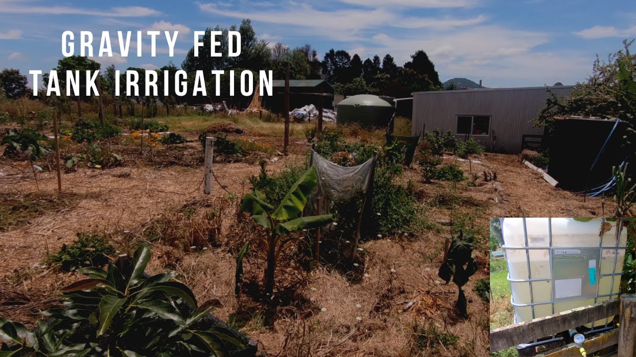 Simple Rainwater Tank Irrigation Setup