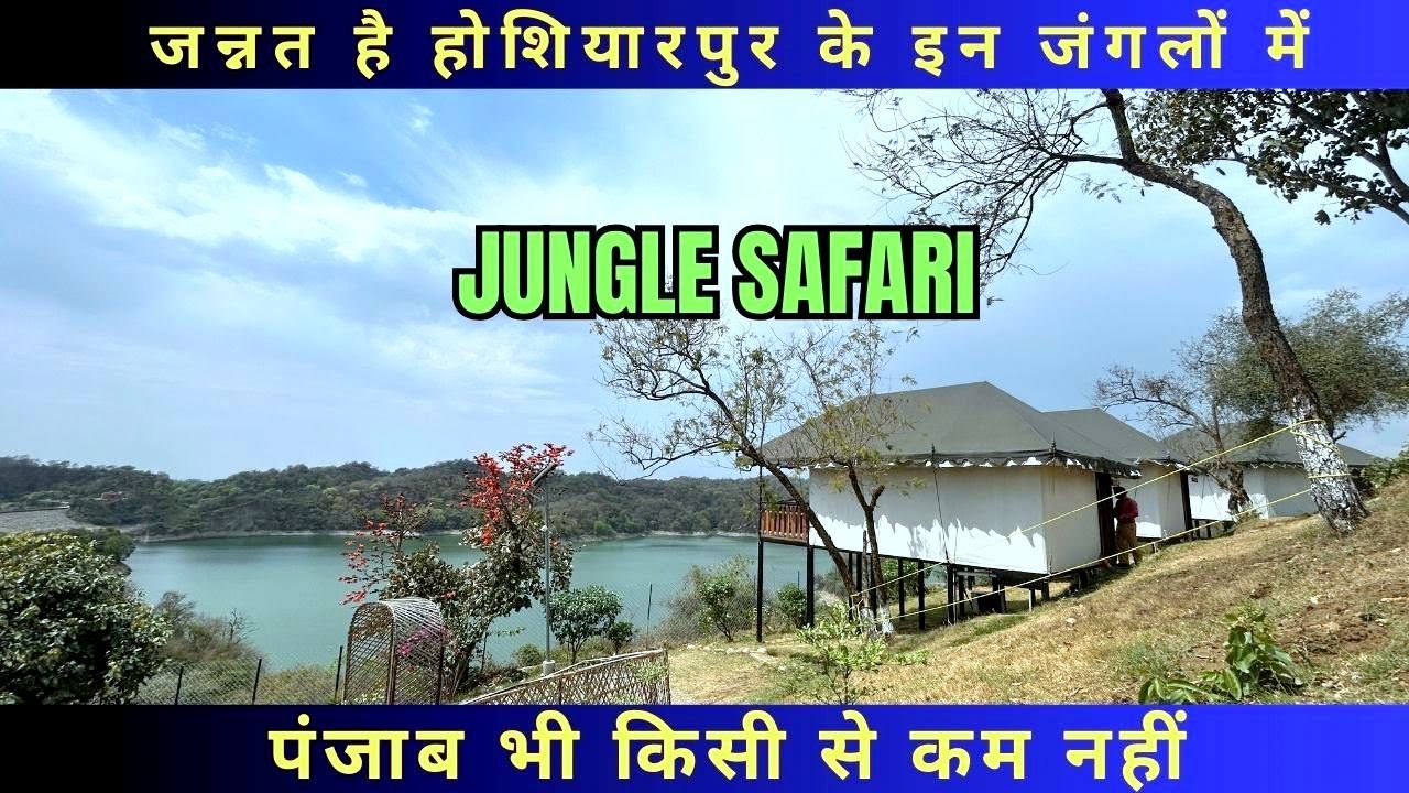 Jungle Resort l होशियारपुर&nbsp;l Jungle Safari l Offroading l Kukanet l Thana Dam l Punjab l
