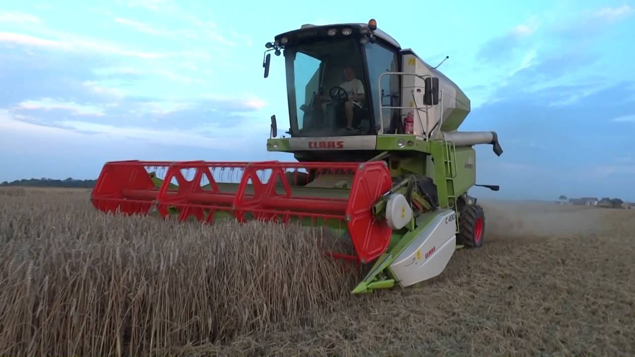 Żniwa pszeniczne 2016 || Claas Avero 160 || Massey Ferguson 6290 || Ursus C-355 || Wileton ||