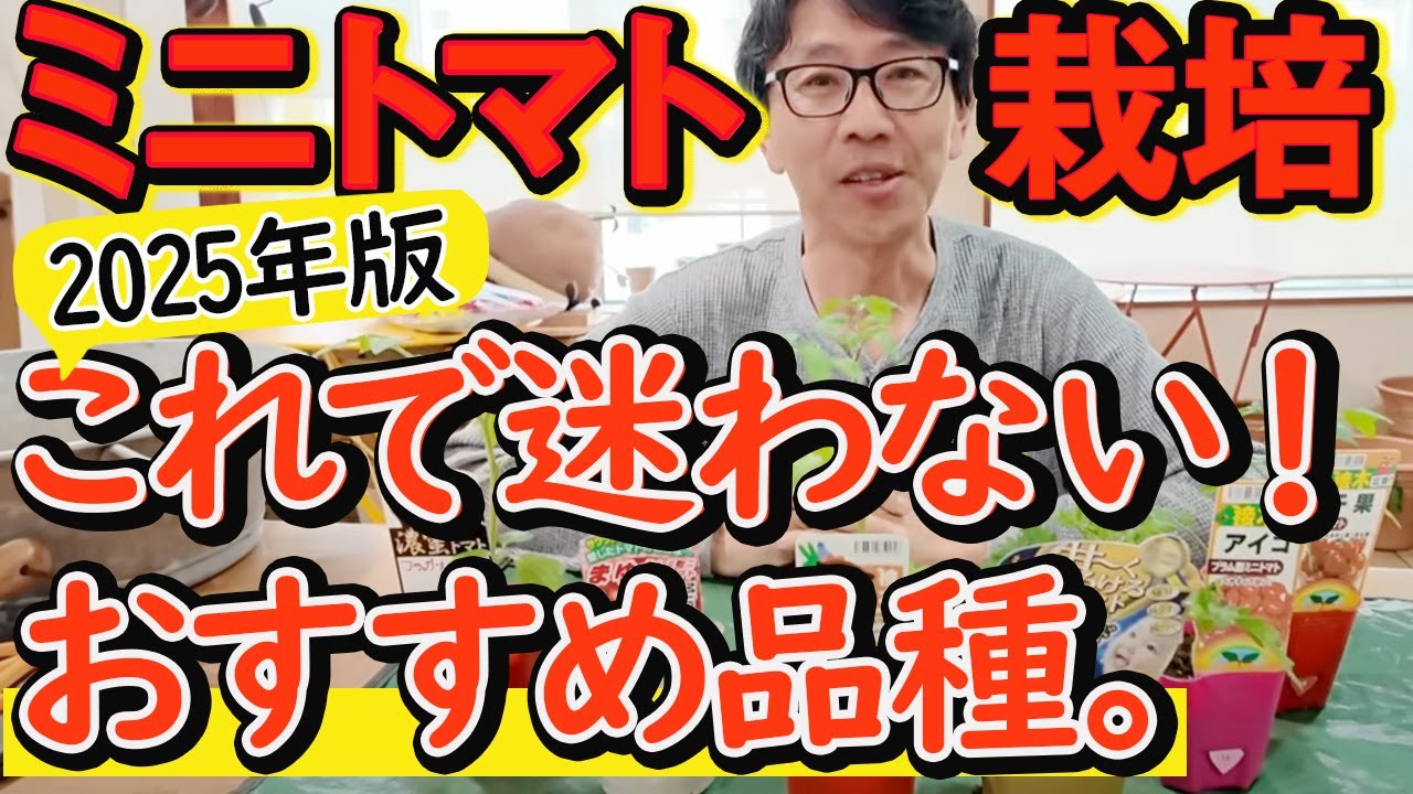 【ミニトマト栽培】品種、土、プランター選び＆植え付け方法《初心者さん必見！》