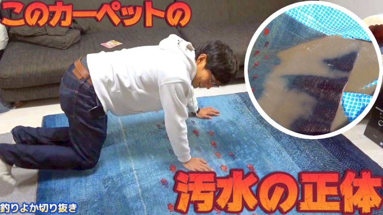 【釣りよか切り抜き】衝撃！釣りよかリビングのペルシャ絨毯がエラいことになってました。 Part.142