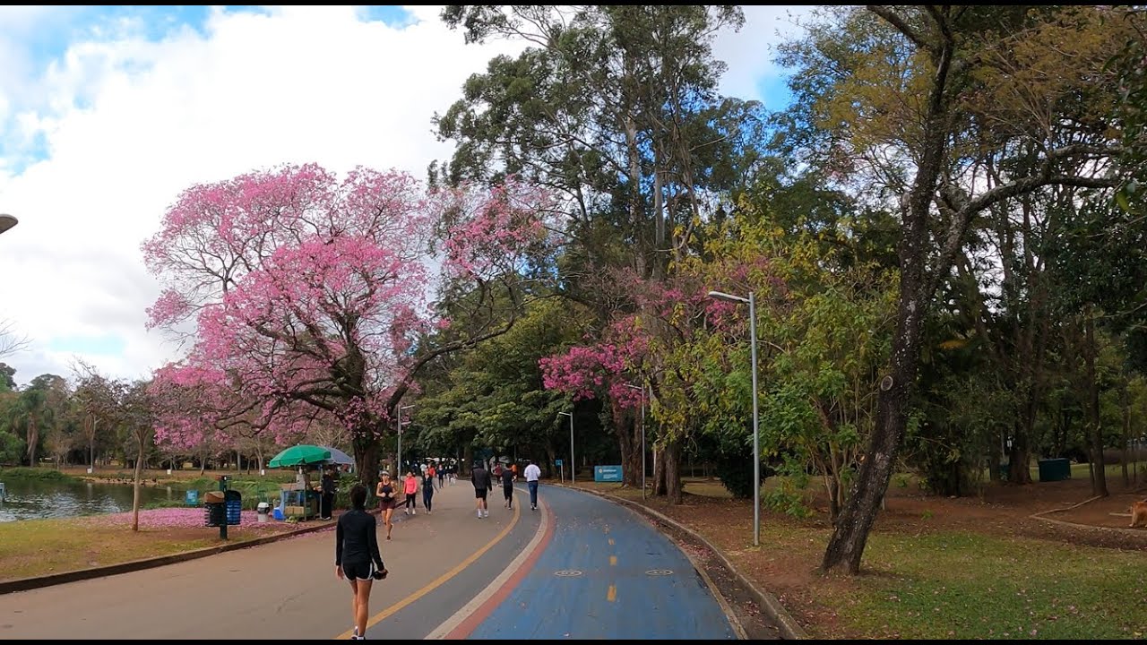 Rolê de Bike da Rua Augusta até Parque Ibirapuera - São Paulo/SP - Brasil