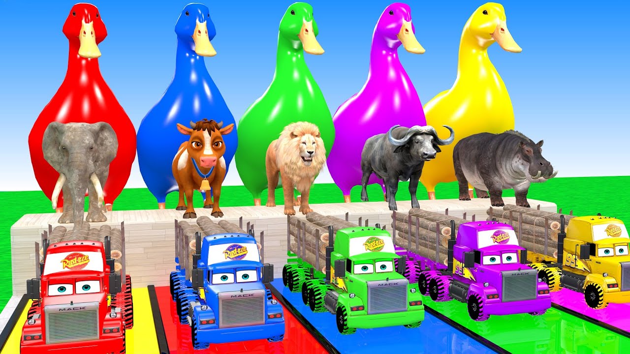 Long Slide Game With Elephant Cow Lion Buffalo Hipopotamus 3d Animal Game Funny 3d Animals