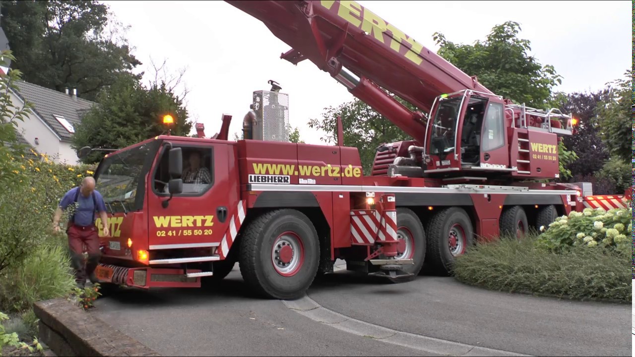 Kranfällung am Waldrand - Aachen und Dreiländereck