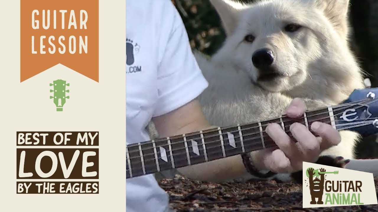 How to Play Best of My Love by the Eagles - Guitar Lesson