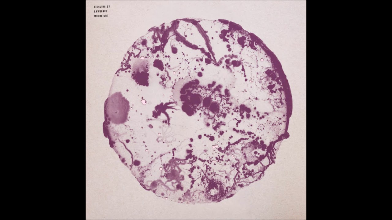 Lawrence - Bonfire Reprise [GIEGLING27]