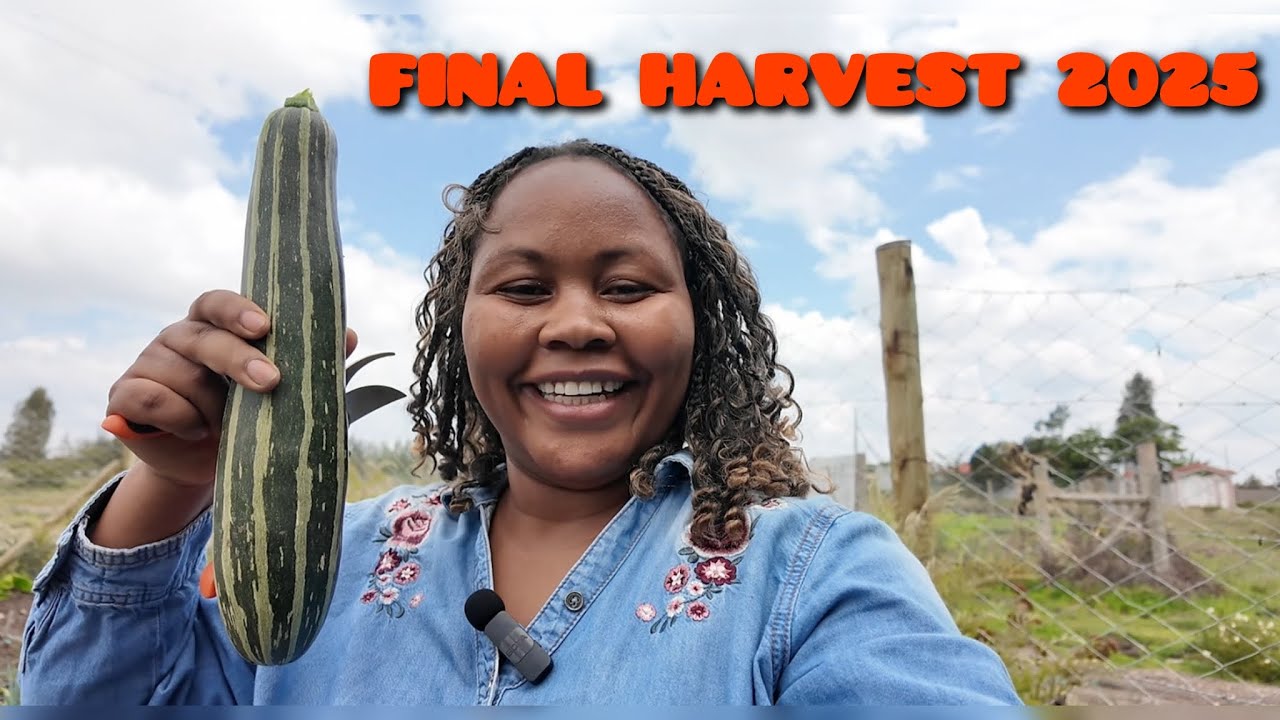 MY LAST GARDEN TOUR AND HARVEST OF 2025!!