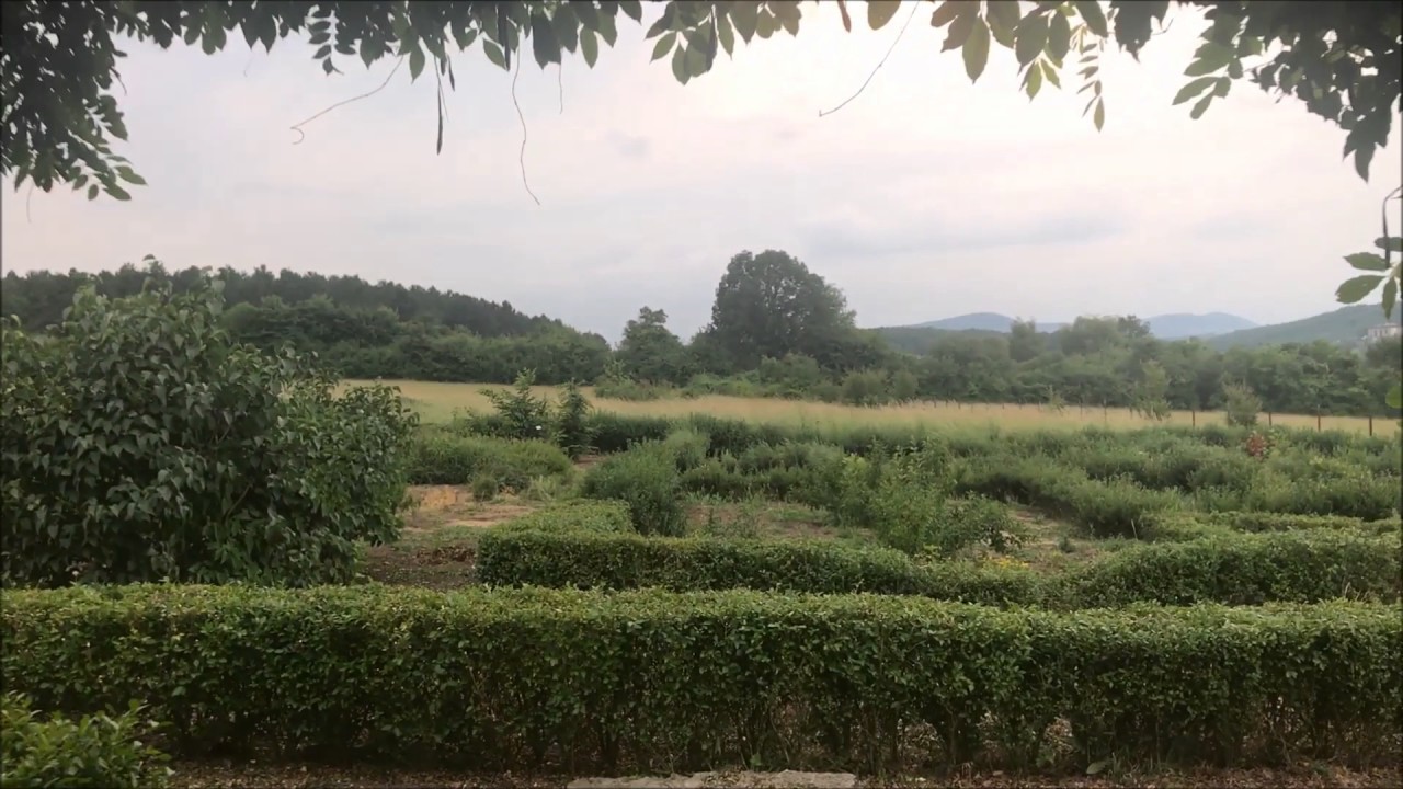 Kragujevac // Botanicka basta - Botanical Garden // 07.06.2017.