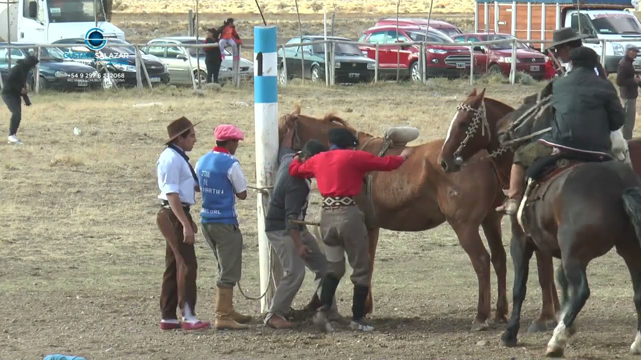 6° Fiesta Zonal de la Potranca.