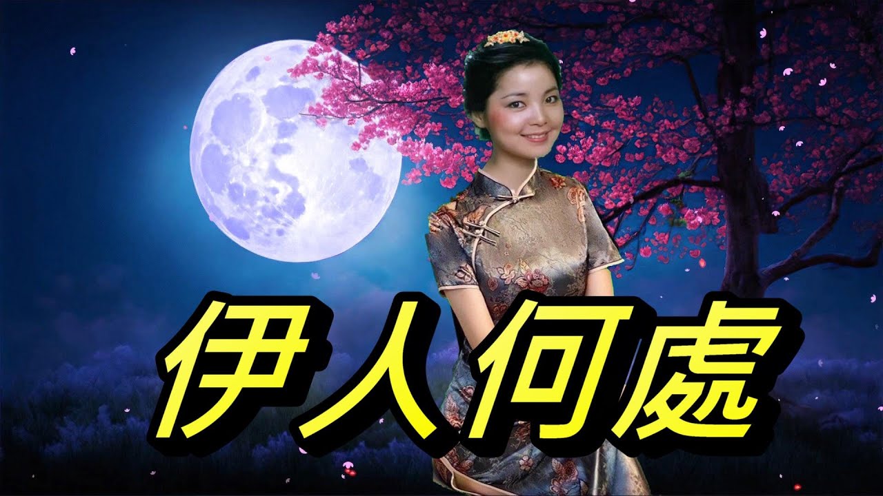伊人何處---鄧麗君 Teresa Teng テレサ テン(日文歌曲:中の島ブルース(中之島藍調))