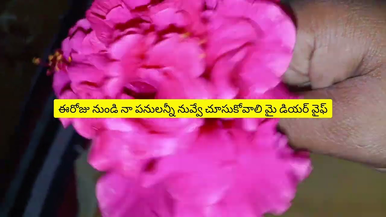 Gn 💖 bm ki ప్రేమగా చెప్పిన మాటలు అందరికంటే ముందుగా మీరు చూసేయండి ❣️