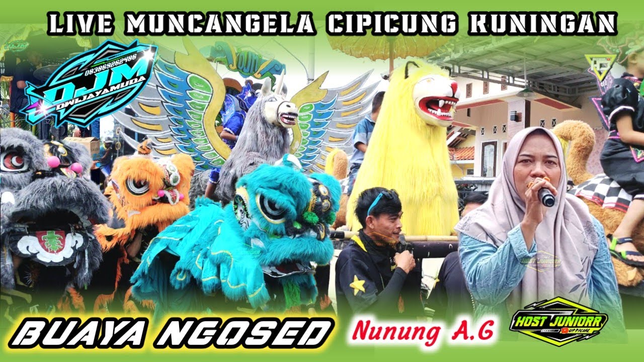 BUAYA NGOSED || BUROK DJM ( DWI JAYA MUDA ) LIVE MUNCANGELA 02 FEBRUARI 2026