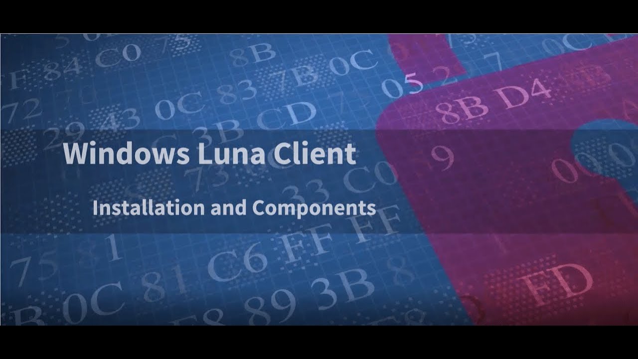 Windows Luna Client Installation and Components