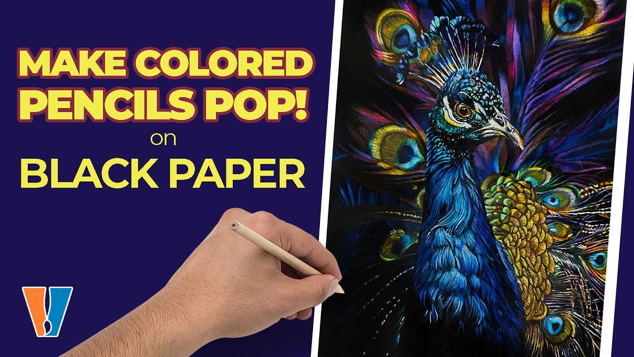 Peacock Drawing with Colored Pencils on Black Paper