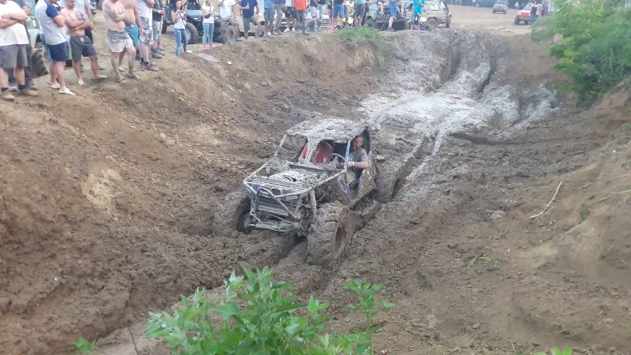 Somogybabod 2019 Bivaly