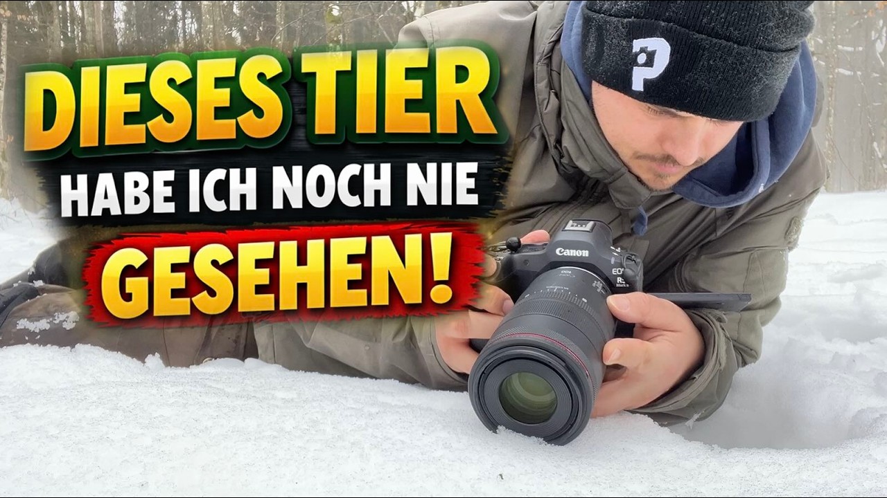 Dieses Tier habe ich noch nie gesehen!  Die Winterhaft - Natur vor der Haustür