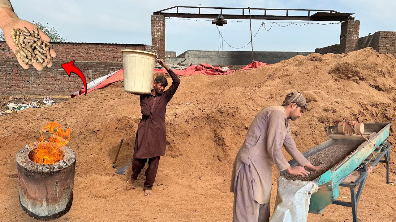 Unbelievable Recycling Process of Wooden Sawdust to Biomass Pellets