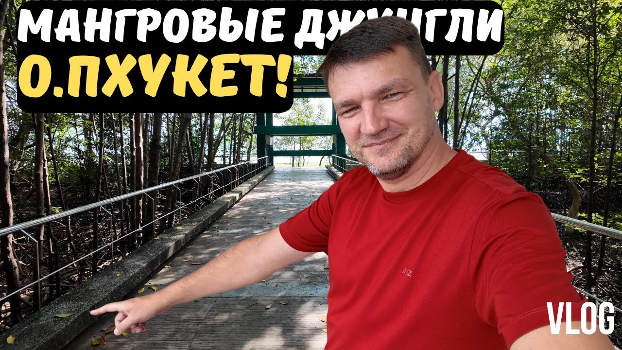 МАНГРОВЫЕ ЛЕСА ПХУКЕТА! ОБЯЗАТЕЛЬНО К ПОСЕЩЕНИЮ!