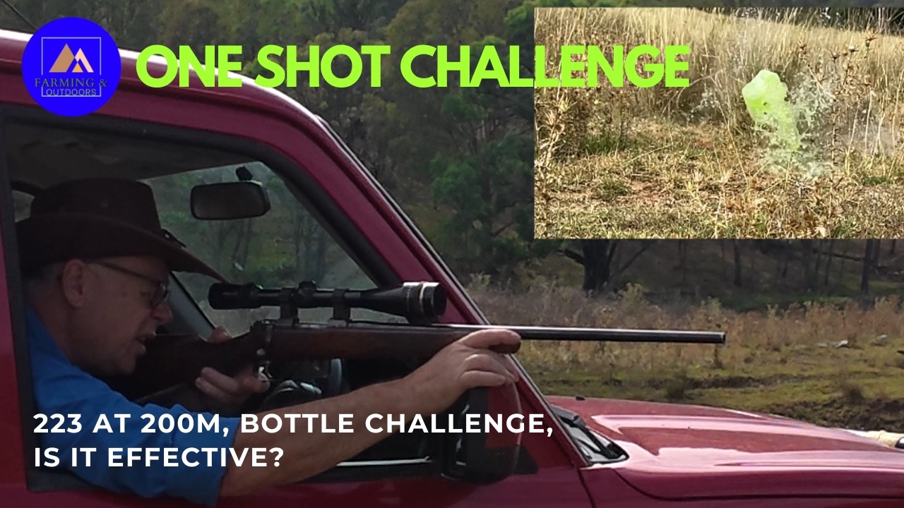 Ethical Hunting Test – .223 CZ 527 at 200m | Real-World Accuracy Check