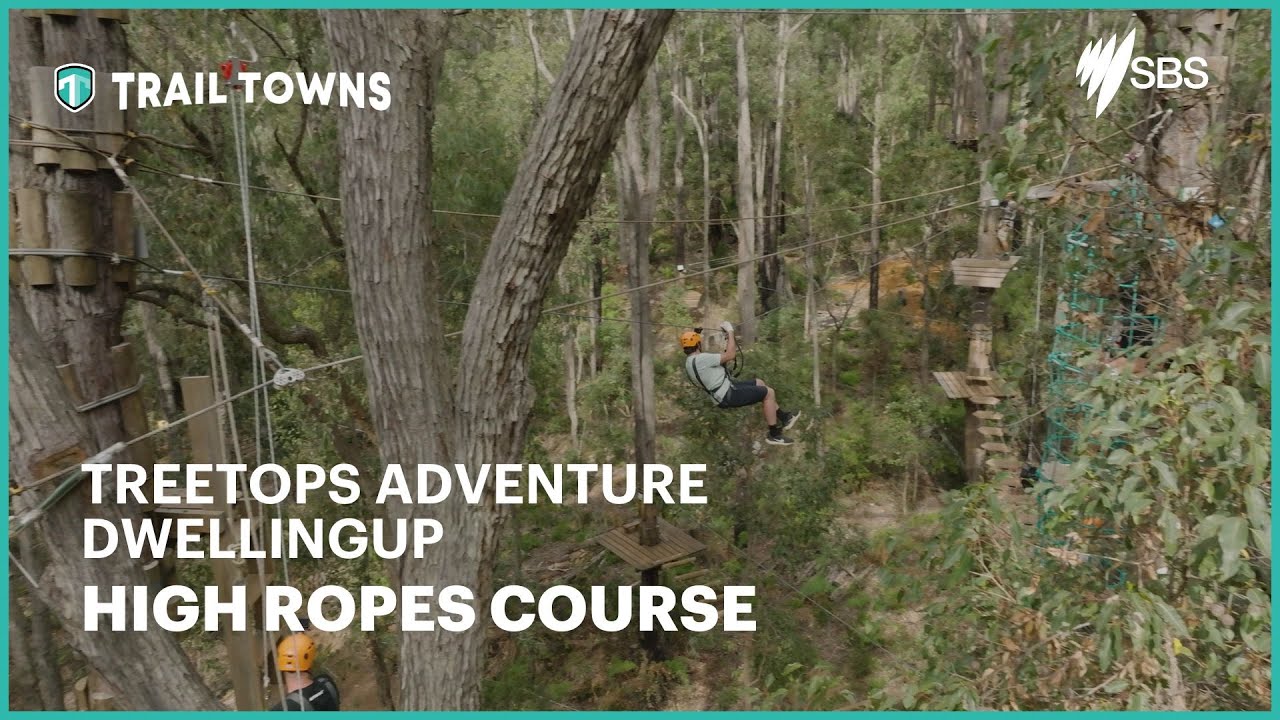 Treetops Adventure Course Dwellingup | WA AUS