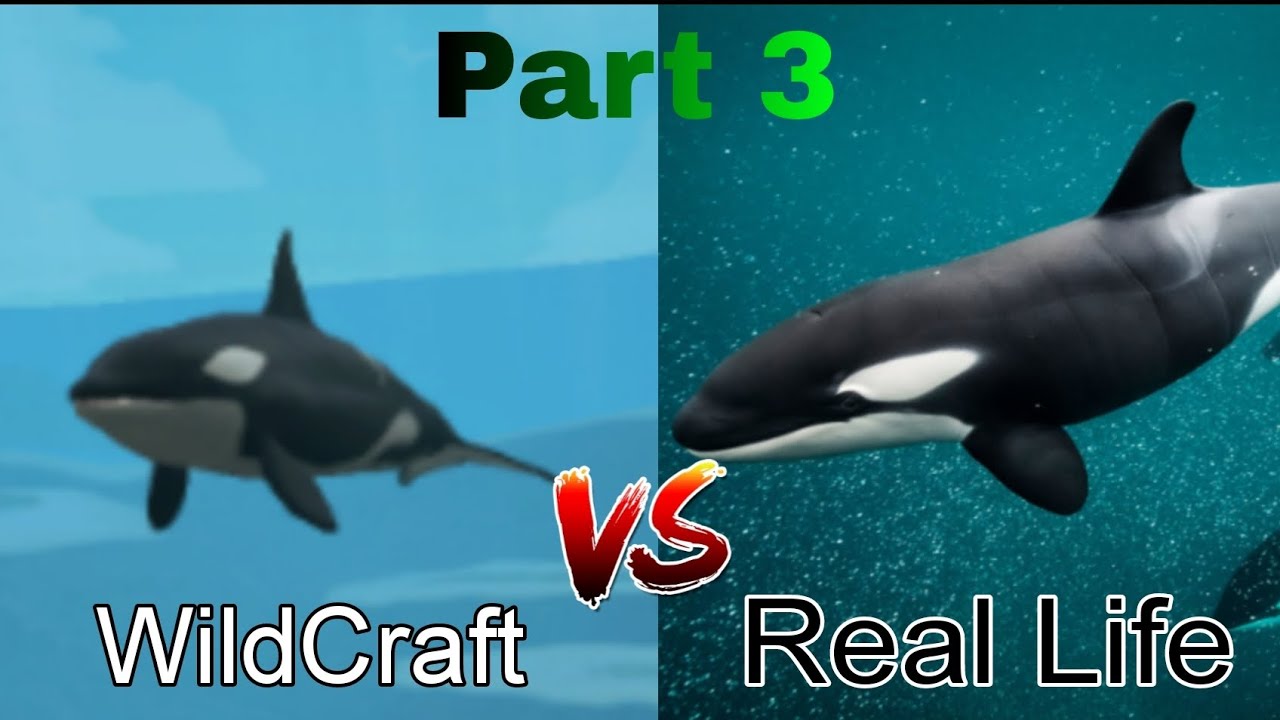 WildCraft: Mediterranean Sea - Port Royal enemies in real life (Part 3)