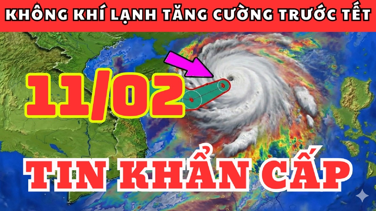 Dự Báo Thời Tiết Đêm Nay và Ngày Mai 11/02 | Không Khí Lạnh Tăng Cường Trước Tết
