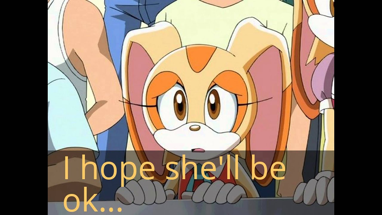 Sonamy story
