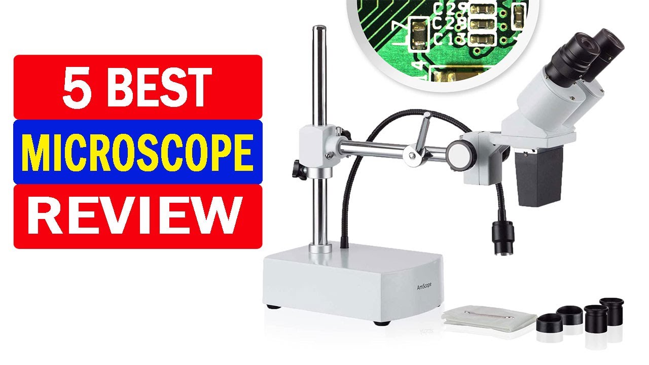 Top 5 Best Microscope Buy in 2022